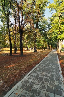 Path in Autumn Park