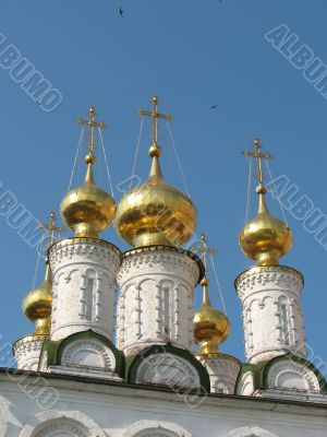 Ryazan Kremlin domes