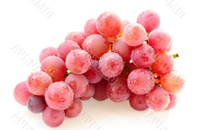 Grape fruits