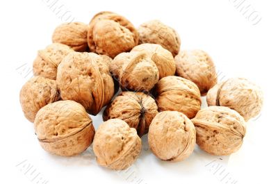 Walnut