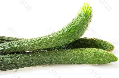 Cucumber