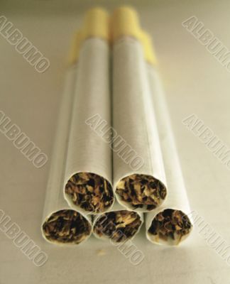 Five cigarettes on the white background