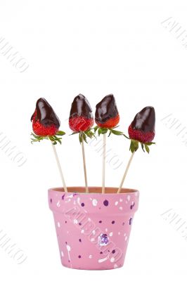 a pot with strawberry dip in chocolate 