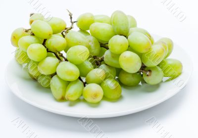 grapes on white background