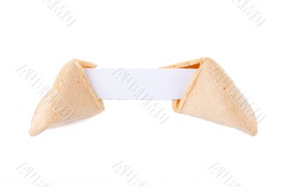  fortune cookie