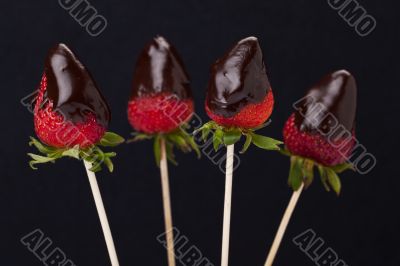 four strawberries with melted chocolate on dark