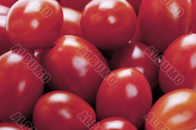 pile of tomatoes