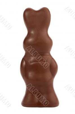 rare view chocolate bunny