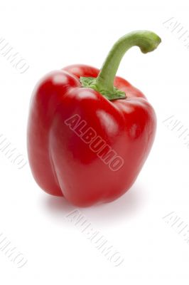 red bell peppe