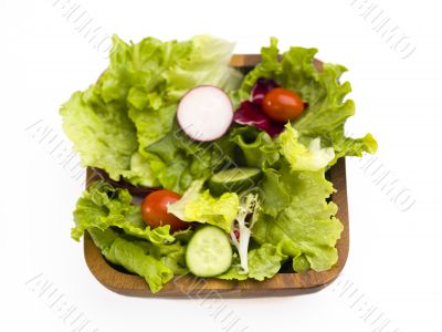garden vegetable salad