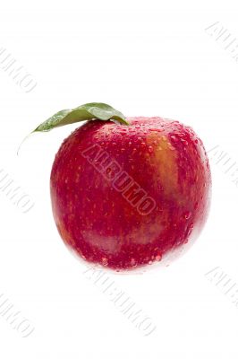 close up shot of red apple with water drops on it close up shot of red apple with water drops on it