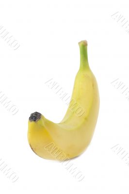 banana fruit