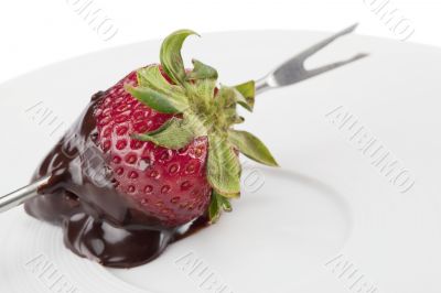 close up strawberry on fondue stick with coated chocolate