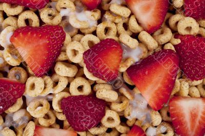 macro corn flakes rings