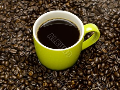 coffee cup sitting in beans