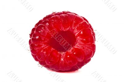 raspberry