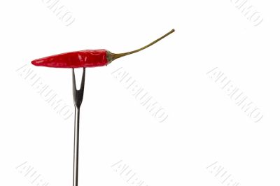 chilly pepper in fondue