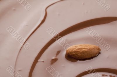 almond on chocolate sauce