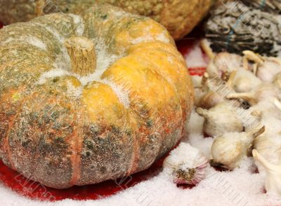 Pumpkin on the counter