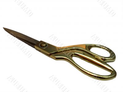 Sew scissors with golden handles isolate on the white background