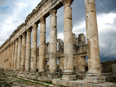 Columns of antique Apamea 
