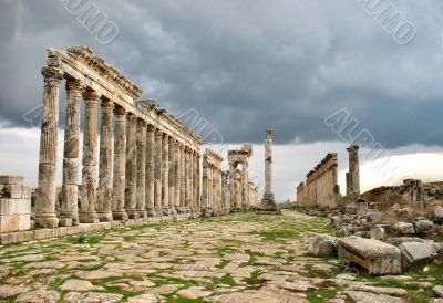 Apamea before a thunder-storm 