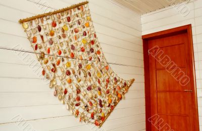 Souvenir - sea shells