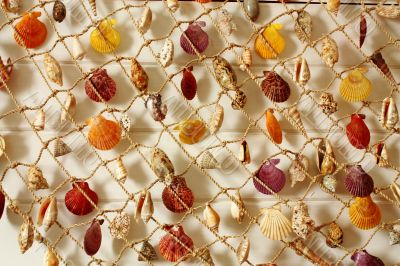 Souvenir - sea shells