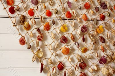 Souvenir - sea shells