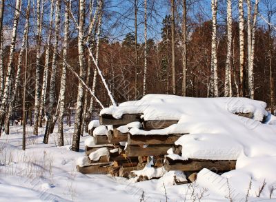 logs in the snow