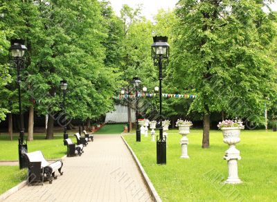 Alley in the park