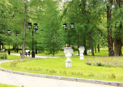 Vases with flowers in park