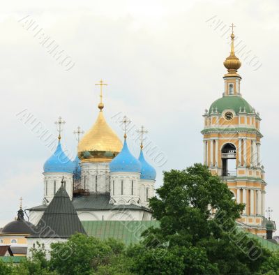 Domes of the Novospassky  Monastery  in Moscow