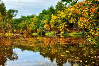 Scenic lake in autumn forest