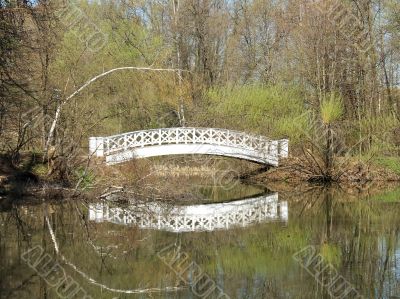 Bridge across the pond