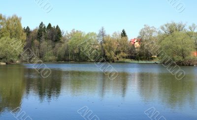 Spring landscape with a lake