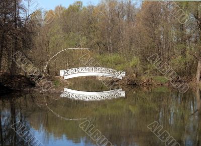 Bridge across the pond