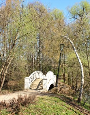 Bridge across the pond