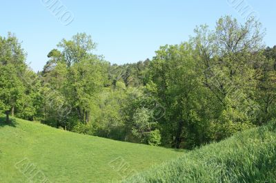 Landscape with green foliage