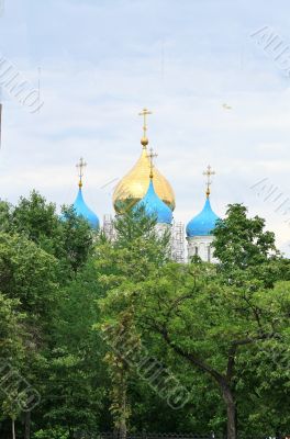 Domes of the Novospassky  Monastery  in Moscow