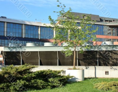 Vent pipes on the roof