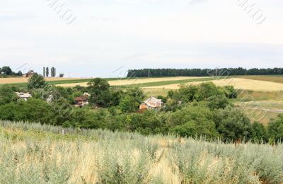 Rural landscape