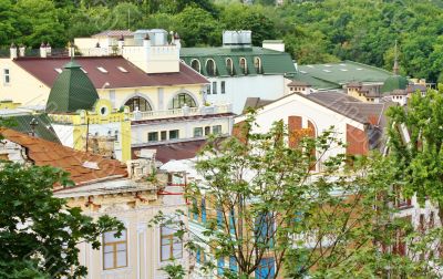 Old houses among green trees 