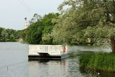 Landscape with the old pond