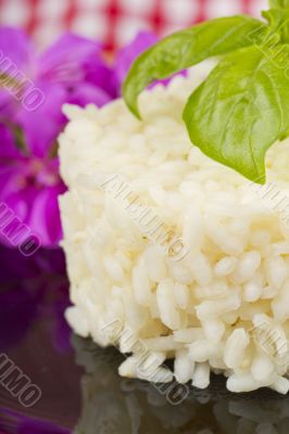 Rice