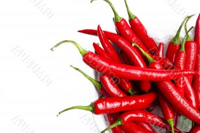 wet chilli peppers in a bowl