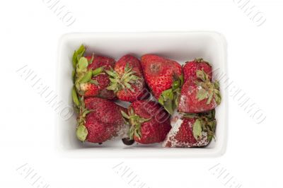 strawberries in white bowl