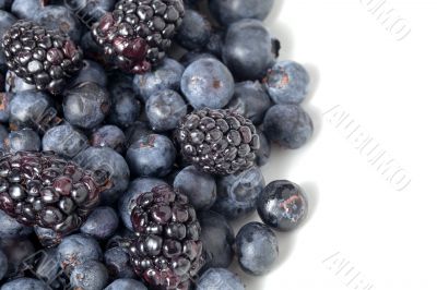 blackberries and grapes on white