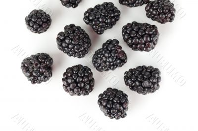 a group of ripe blackberries