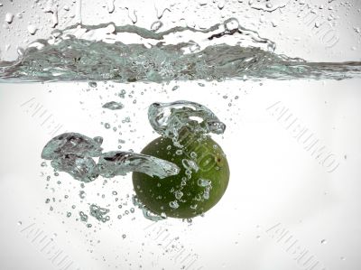 fresh lime under the water
